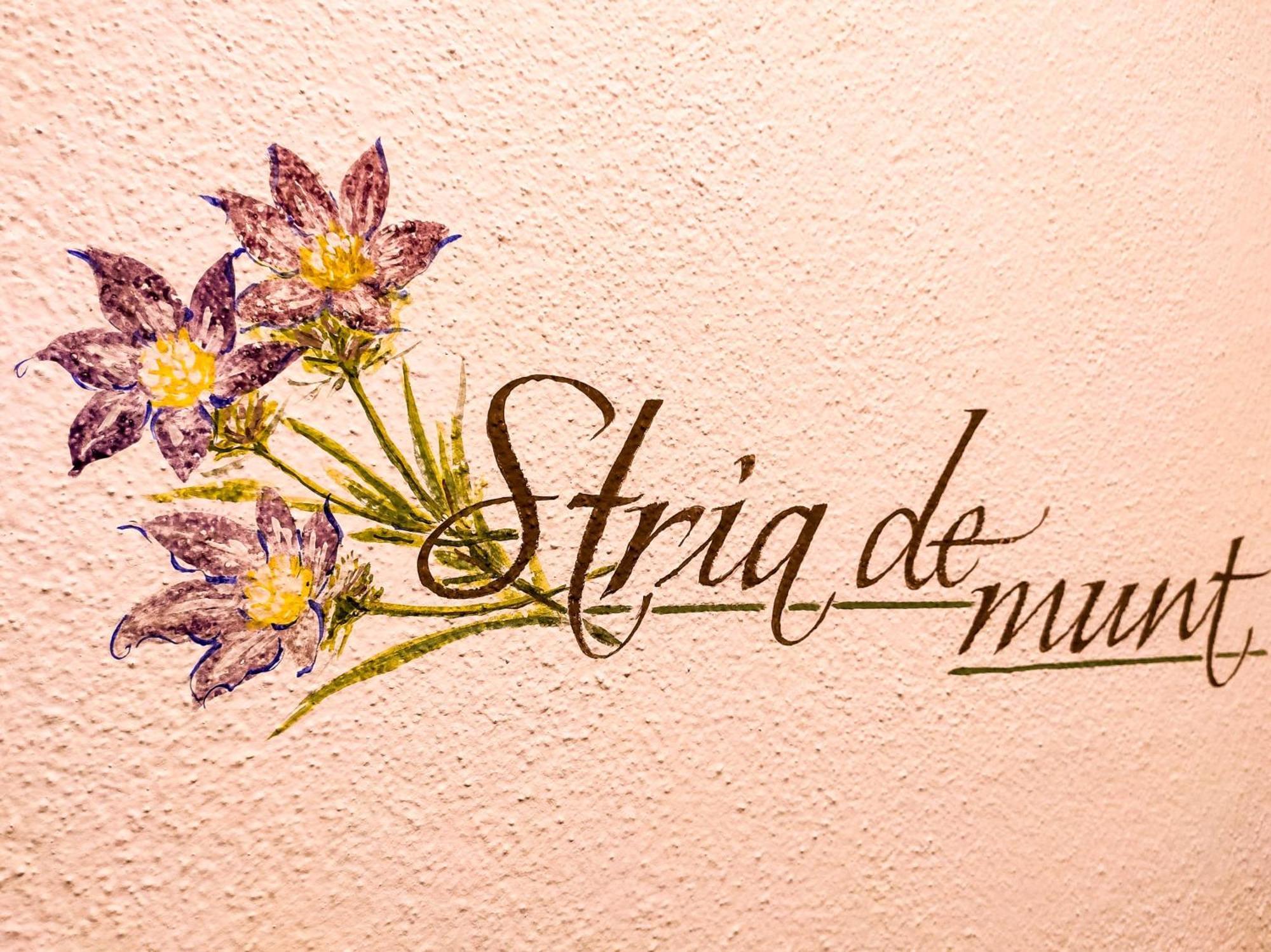 Agriturismo Anvi Badia  Oda fotoğraf