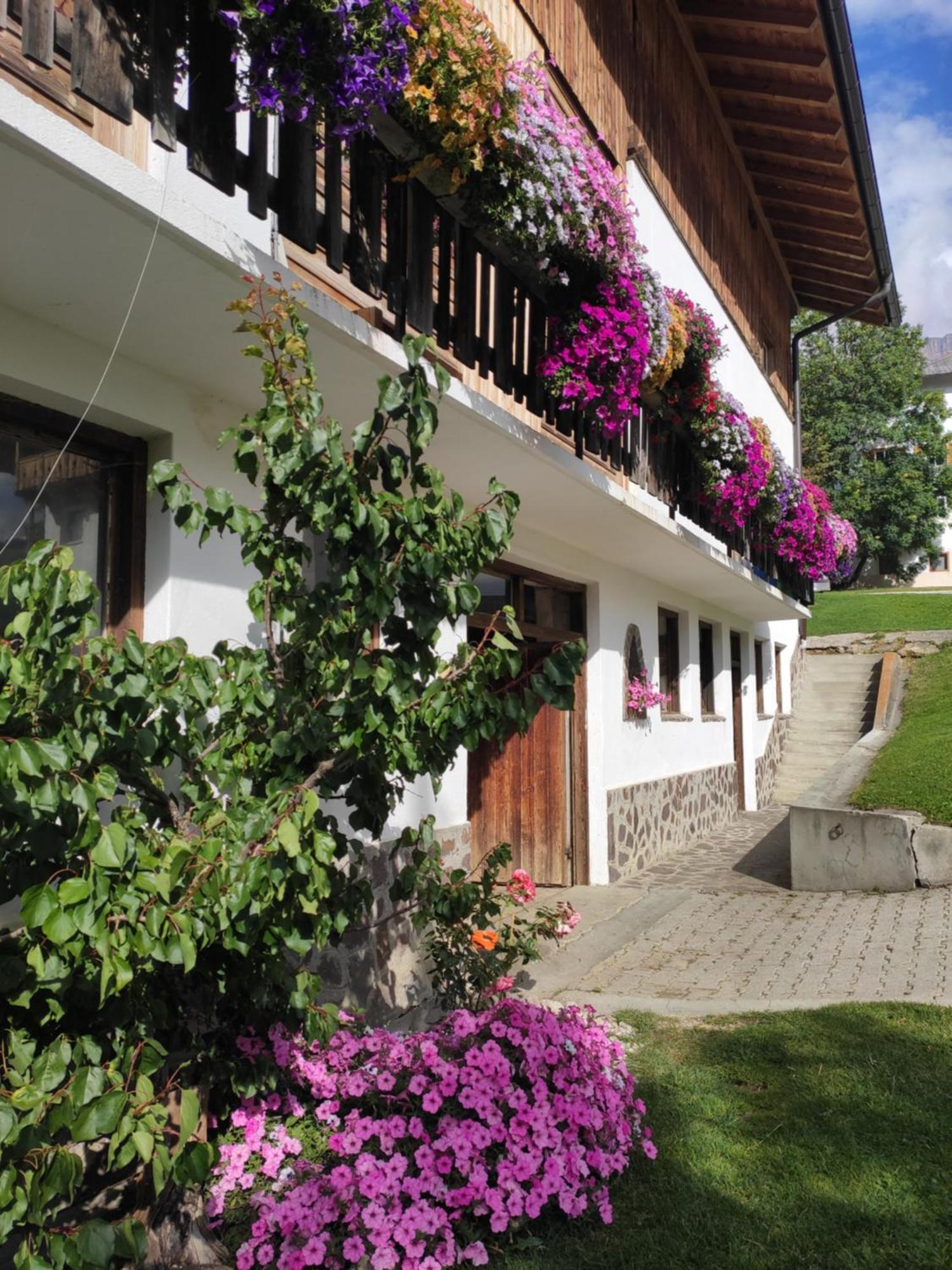 Agriturismo Anvi Badia  Dış mekan fotoğraf