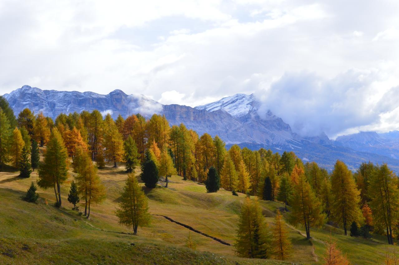 Agriturismo Anvi Badia  Dış mekan fotoğraf