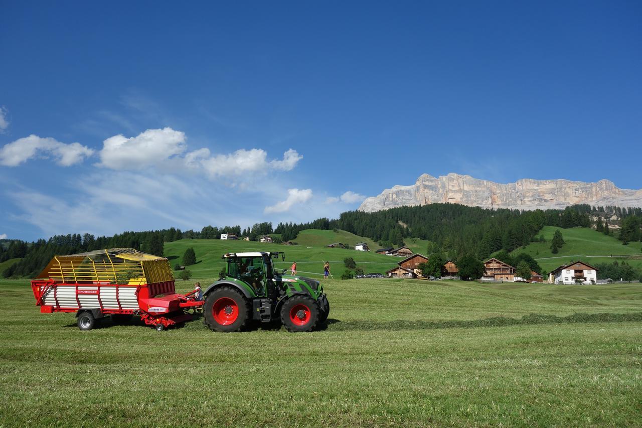 Agriturismo Anvi Badia  Dış mekan fotoğraf